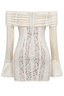 Anaya | Lace Mini Dress