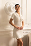 Rosa | Elegant Mini Dress