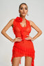 Alayah | Mesh Midi Dress
