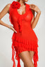 Alayah | Mesh Midi Dress